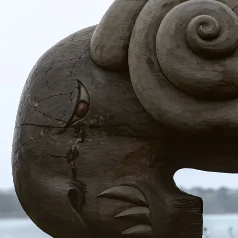 A medieval ram